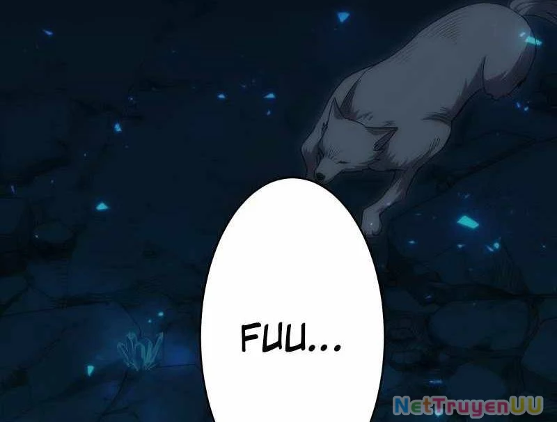 Tân Thủ - Từng Xếp Hạng Nhất Thế Giới Chapter 6 - Trang 2