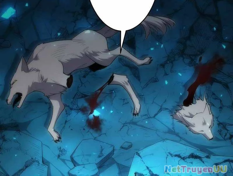 Tân Thủ - Từng Xếp Hạng Nhất Thế Giới Chapter 6 - Trang 2