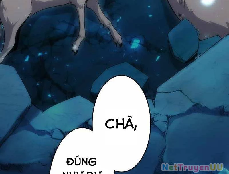 Tân Thủ - Từng Xếp Hạng Nhất Thế Giới Chapter 6 - Trang 2