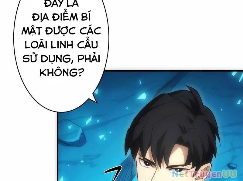 Tân Thủ - Từng Xếp Hạng Nhất Thế Giới Chapter 6 - Trang 2