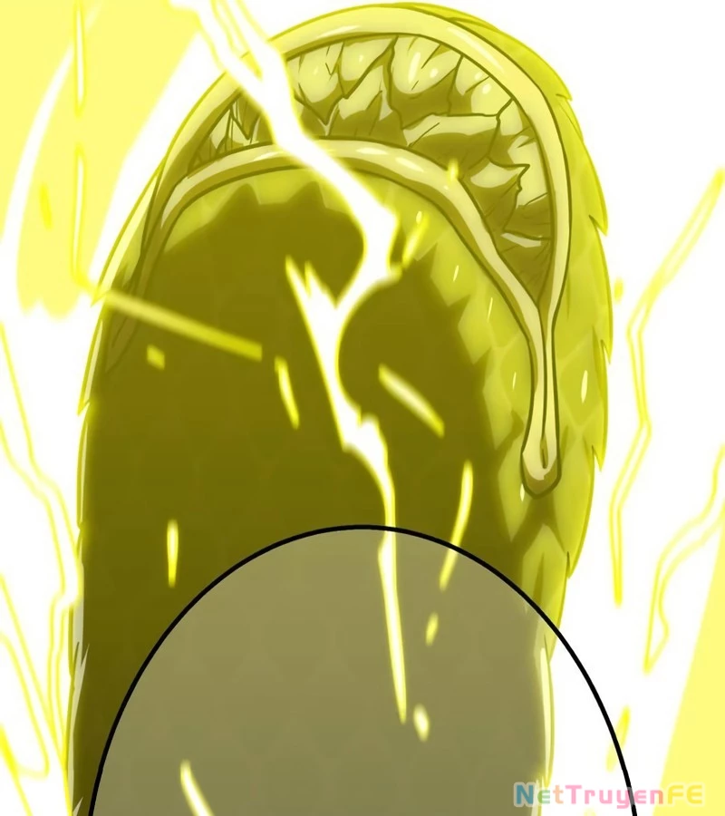 Huyết Thánh Cứu Thế Chủ~ Ta Chỉ Cần 0.0000001% Đã Trở Thành Vô Địch Chapter 79 - Trang 4