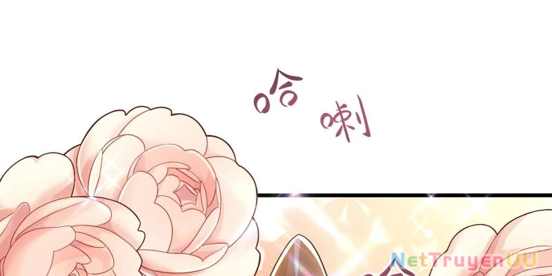 Tán Nhân Vô Địch Tái Sinh Vào Phong Thần Bảng Chapter 24 - Trang 2