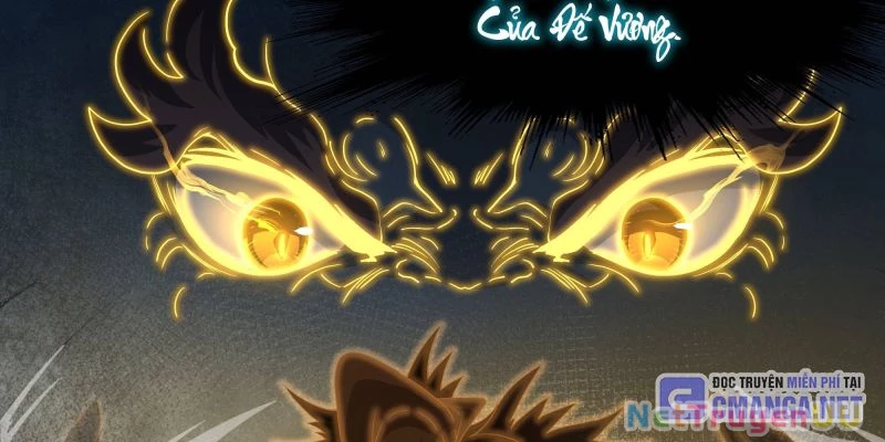 Tán Nhân Vô Địch Tái Sinh Vào Phong Thần Bảng Chapter 24 - Trang 2