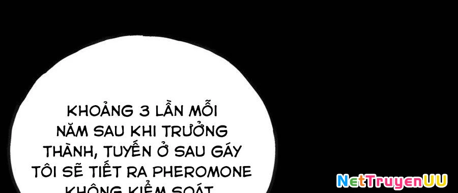 Sau Khi Chết, Ta Trở Thành Võ Đạo Thiên Ma Chapter 15 - Trang 3