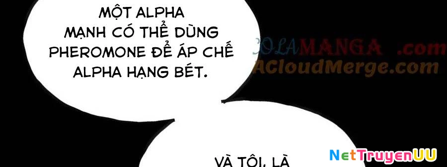 Sau Khi Chết, Ta Trở Thành Võ Đạo Thiên Ma Chapter 15 - Trang 3