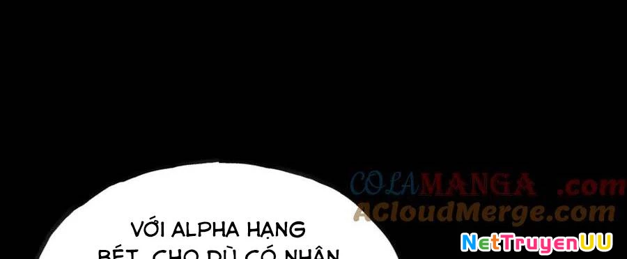 Sau Khi Chết, Ta Trở Thành Võ Đạo Thiên Ma Chapter 15 - Trang 3