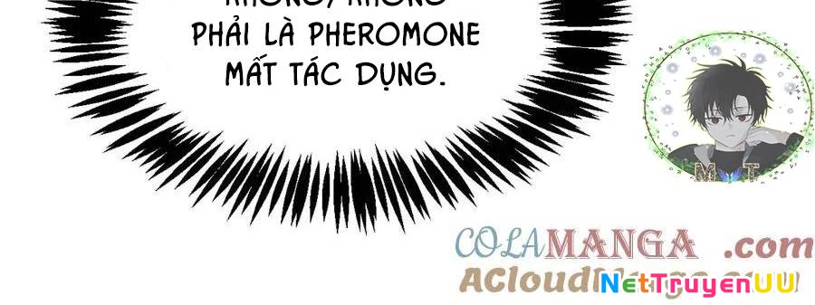 Sau Khi Chết, Ta Trở Thành Võ Đạo Thiên Ma Chapter 15 - Trang 3