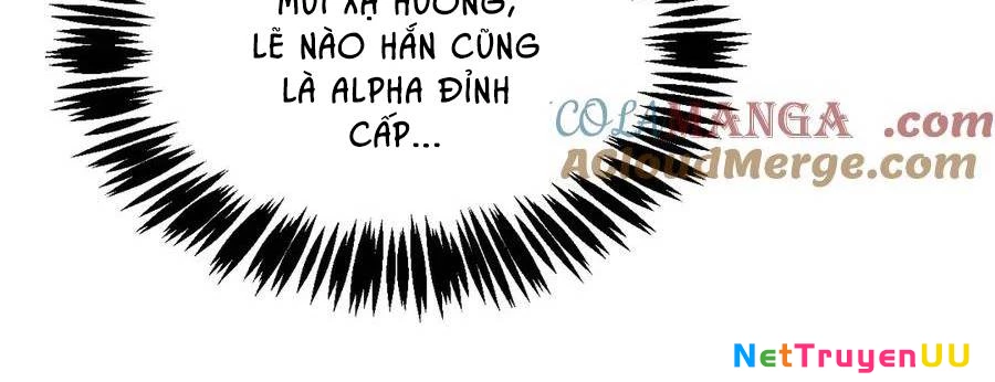 Sau Khi Chết, Ta Trở Thành Võ Đạo Thiên Ma Chapter 15 - Trang 3