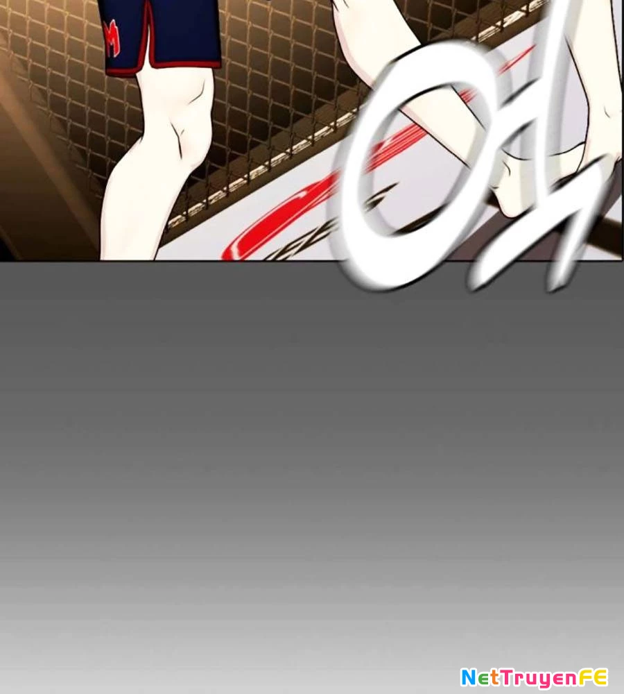 Loser Giỏi Võ Chapter 74 - Trang 4