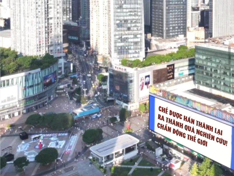 Ta Có 90 Tỷ Tiền Liếm Cẩu! Chapter 342 - Trang 4