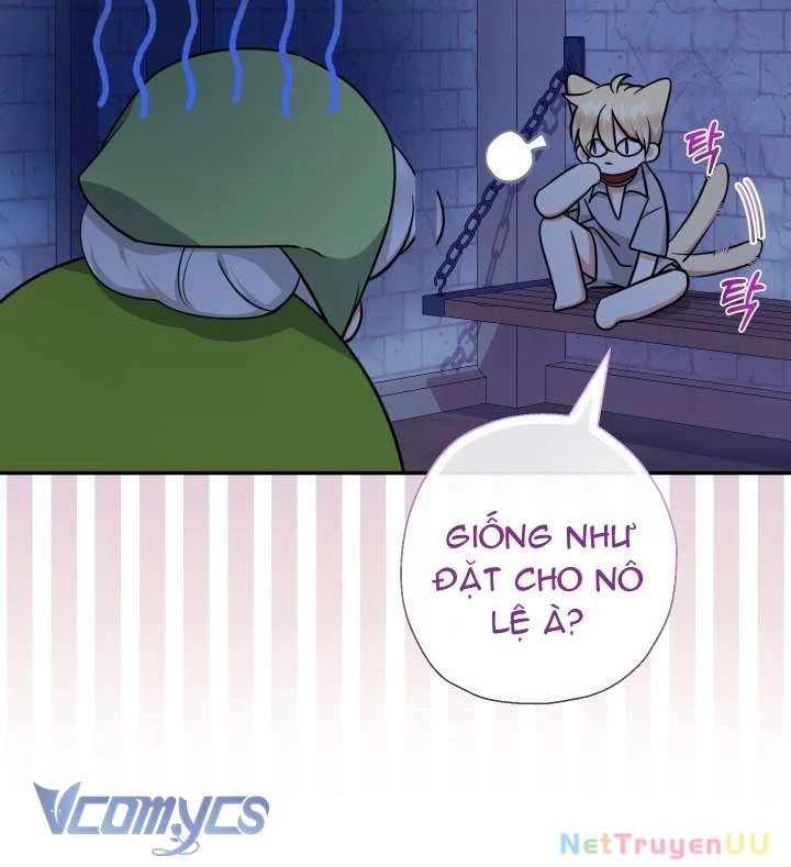 Tiểu Thư Tích Tiền Đi Bụi Chapter 62 - Trang 4