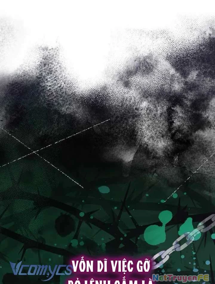 Tiểu Thư Tích Tiền Đi Bụi Chapter 64 - Trang 4