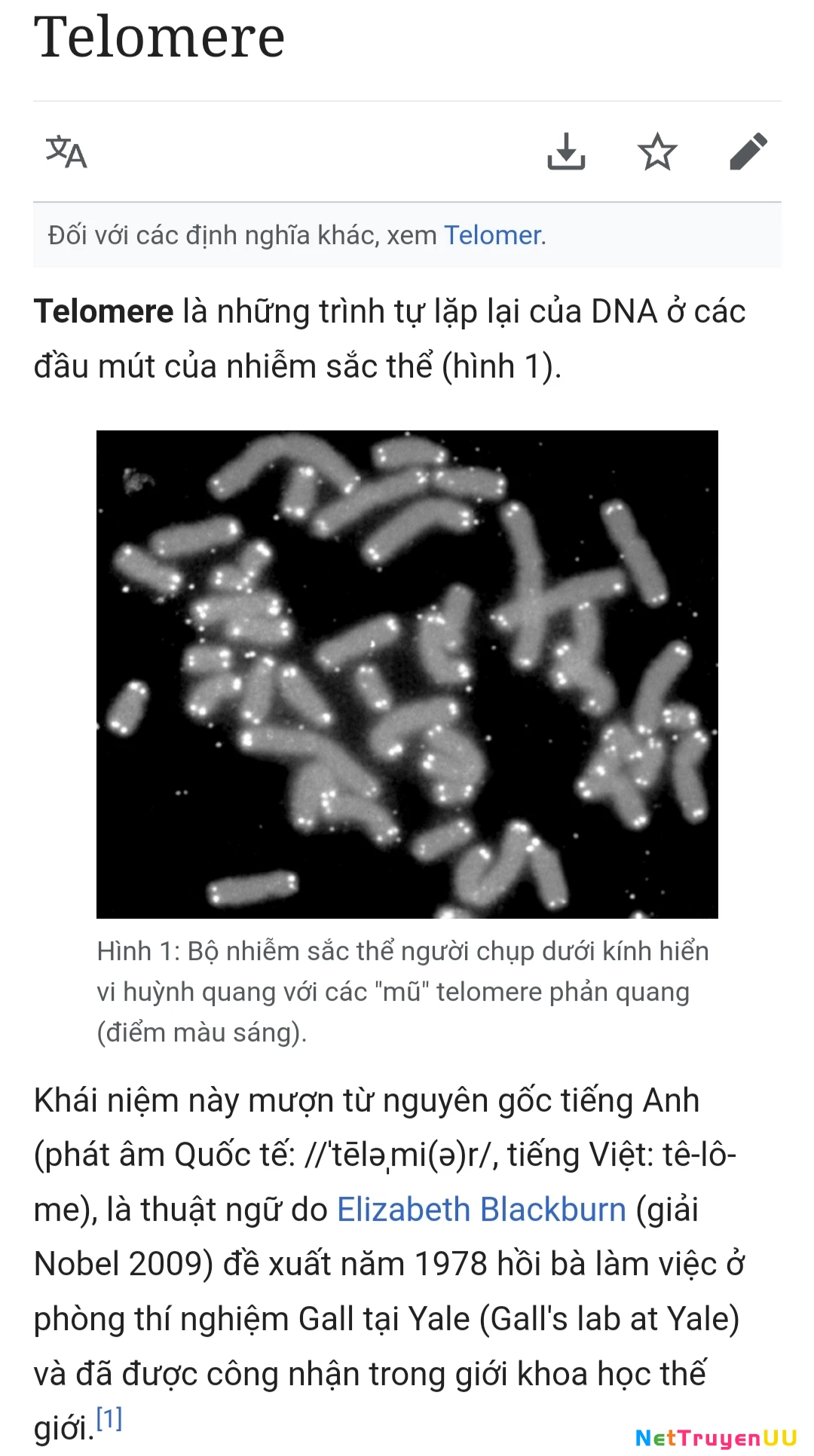 Giặt là vệ tinh Chapter 7 - Trang 2