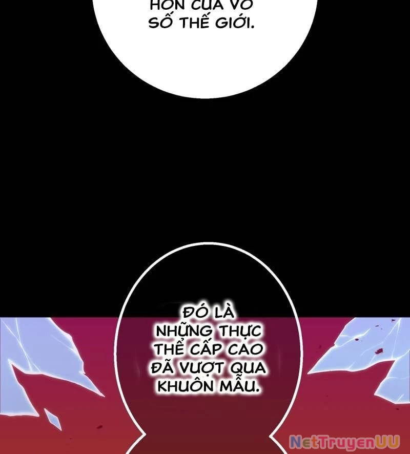 Huyết Thánh Cứu Thế Chủ~ Ta Chỉ Cần 0.0000001% Đã Trở Thành Vô Địch Chapter 82 - Trang 4