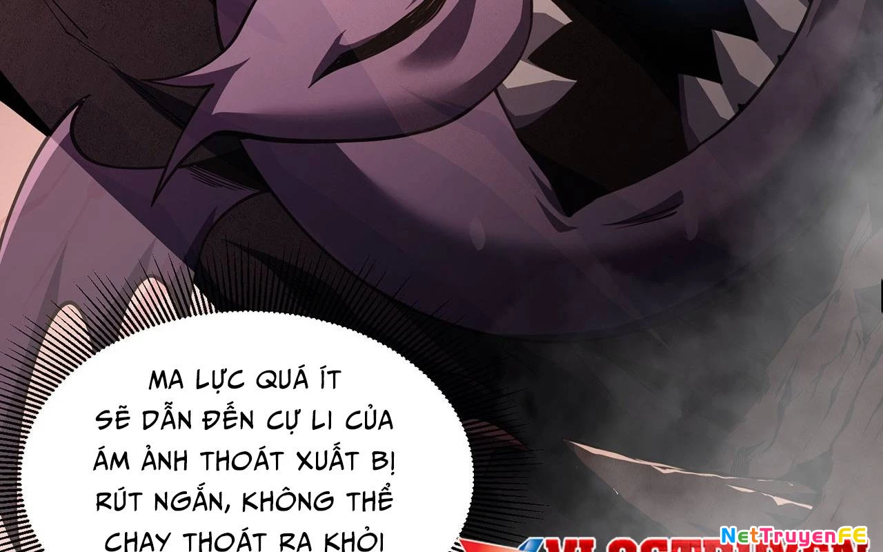 Sát Thủ Cấp Sss Hồi Quy Chapter 2 - Trang 2