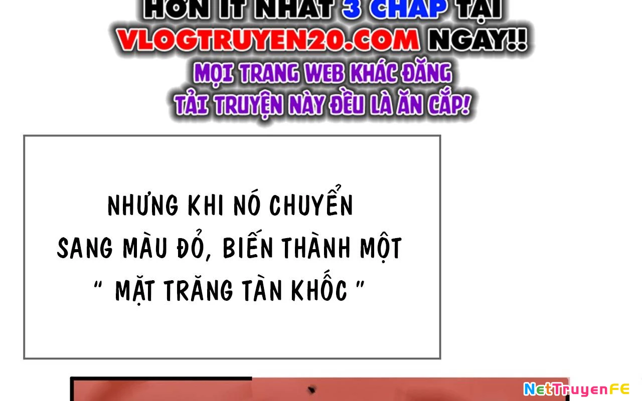 Sát Thủ Cấp Sss Hồi Quy Chapter 2 - Trang 2