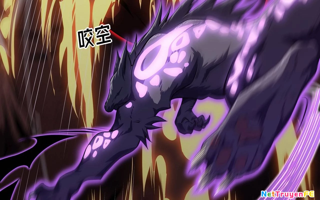 Sát Thủ Cấp Sss Hồi Quy Chapter 2 - Trang 2