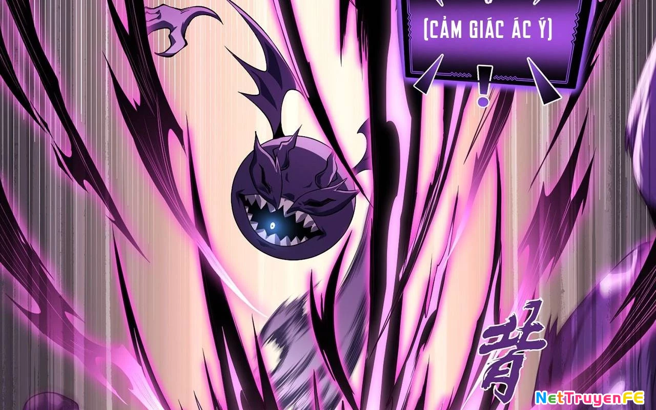 Sát Thủ Cấp Sss Hồi Quy Chapter 2 - Trang 2