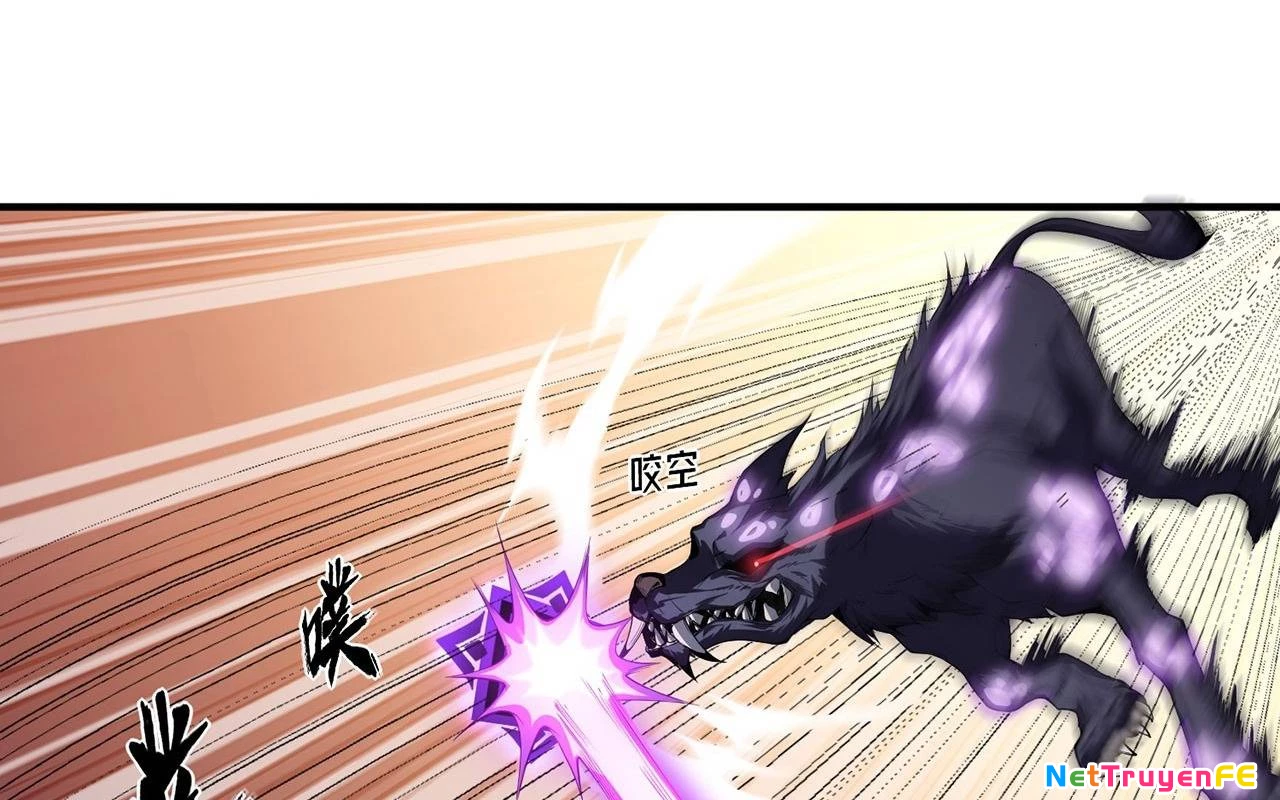 Sát Thủ Cấp Sss Hồi Quy Chapter 2 - Trang 2