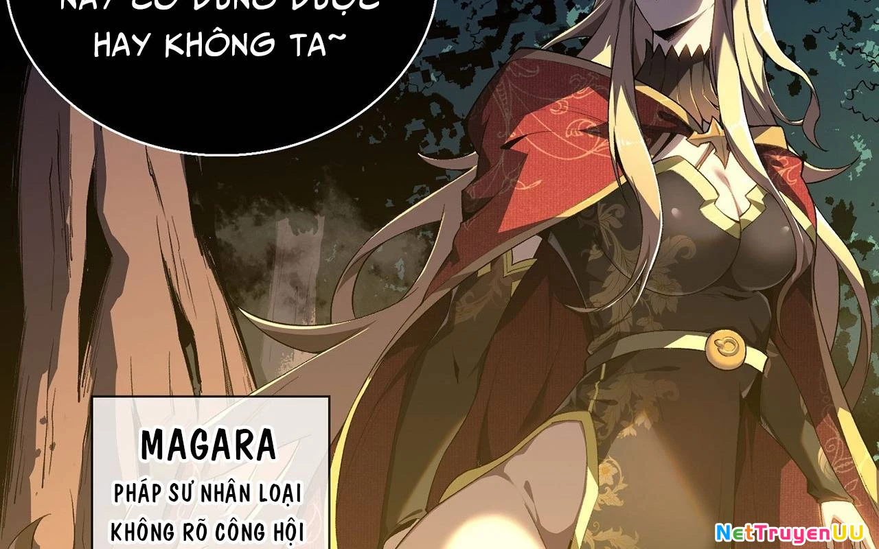 Sát Thủ Cấp Sss Hồi Quy Chapter 3 - Trang 2