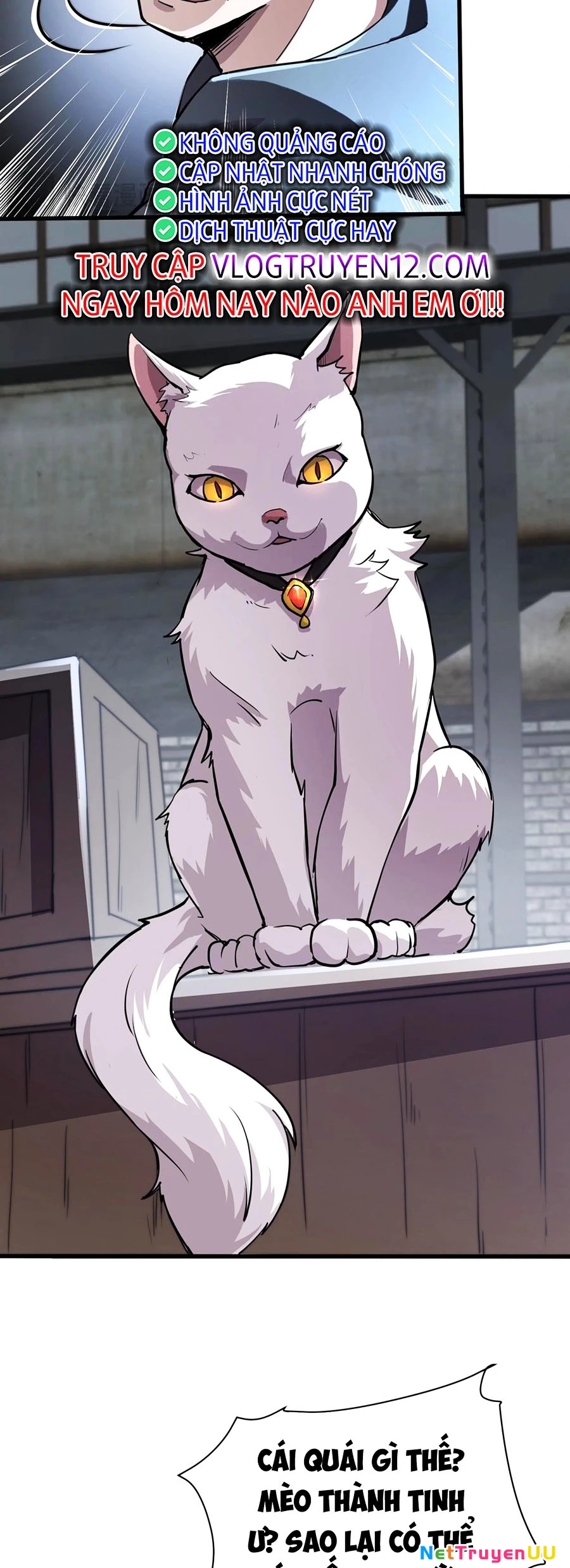 Chỉ Có Ta Có Thể Sử Dụng Triệu Hoán Thuật Chapter 111 - Trang 4