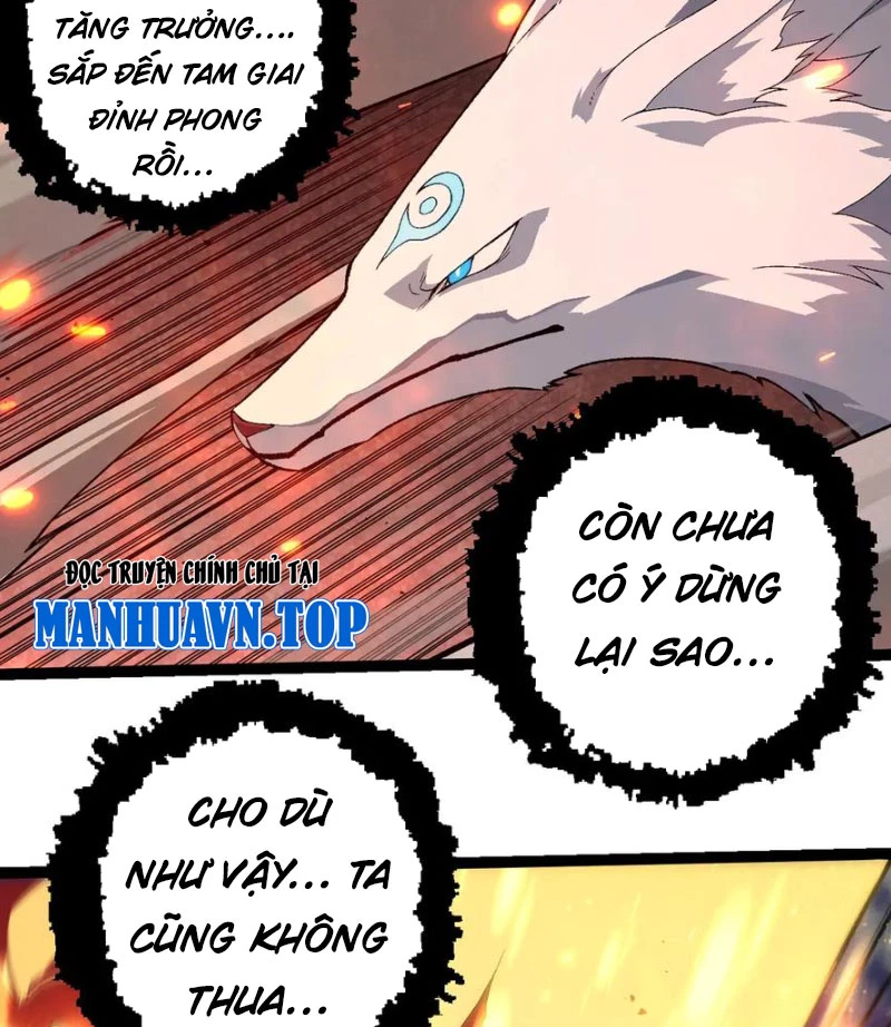Chuyển Sinh Thành Liễu Đột Biến Chapter 267 - Trang 4