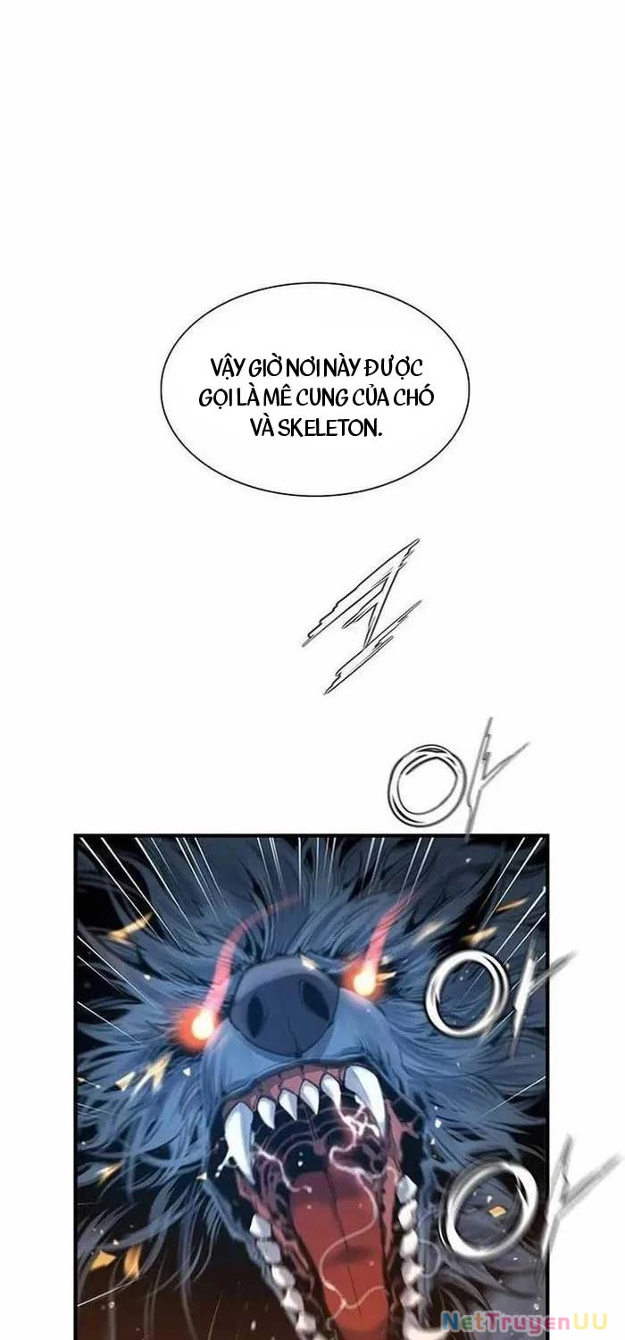 Tăng Cấp Với Các Vật Phẩm Độc Quyền Của Dungeon Chapter 5 - Trang 2