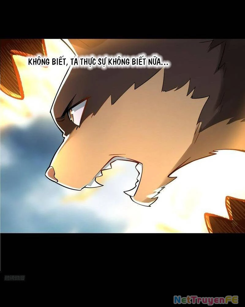 Nguyên Lai Ta Là Tu Tiên Đại Lão Chapter 461 - Trang 4