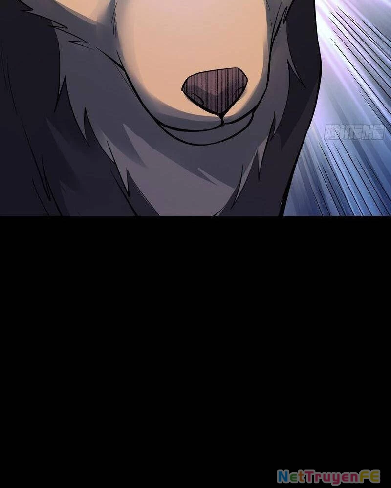 Nguyên Lai Ta Là Tu Tiên Đại Lão Chapter 461 - Trang 4