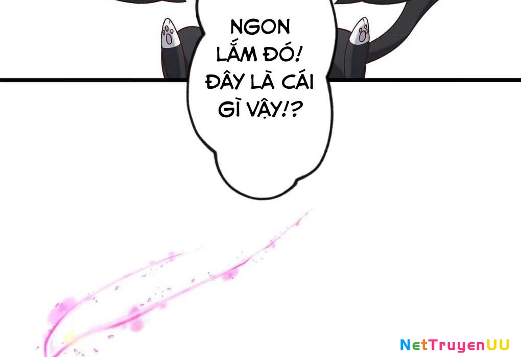 Trở Thành Chị Kế Của Lọ Lem Báo Thù Chapter 3 - Trang 2