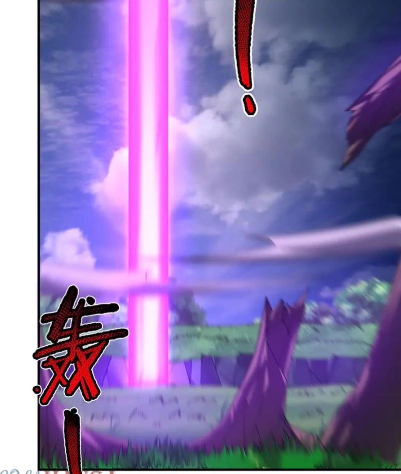 Thần Sủng Tiến Hóa Chapter 338 - Trang 4