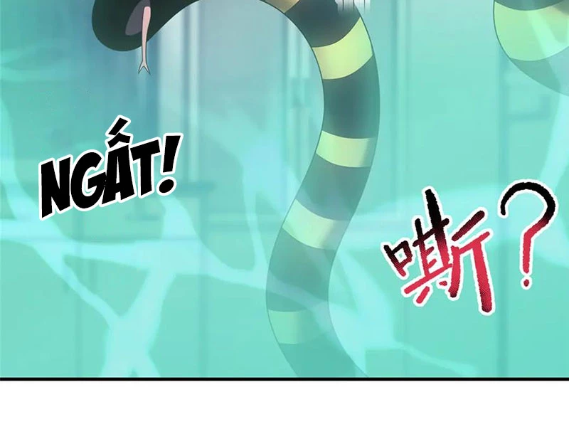 Thần Sủng Tiến Hóa Chapter 339 - Trang 4