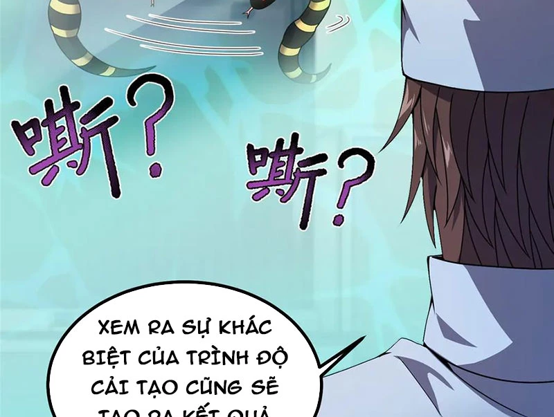 Thần Sủng Tiến Hóa Chapter 339 - Trang 4