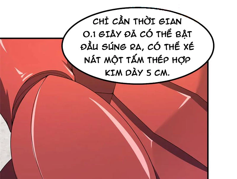 Thần Sủng Tiến Hóa Chapter 339 - Trang 4