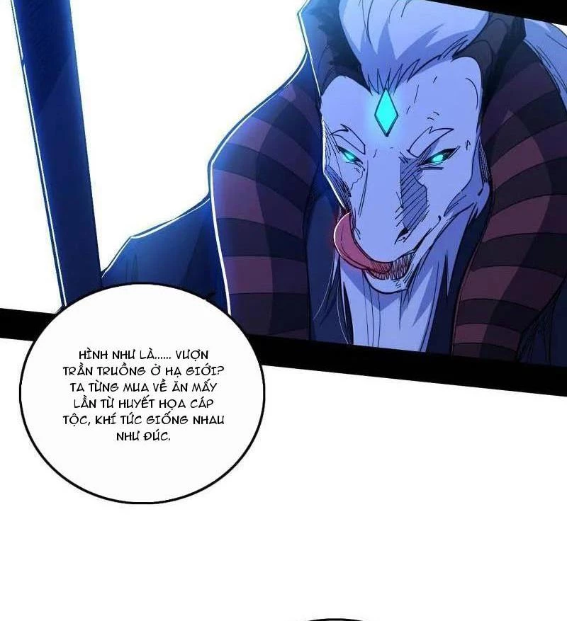 Ta Là Tà Đế Chapter 504 - Next Chapter 505