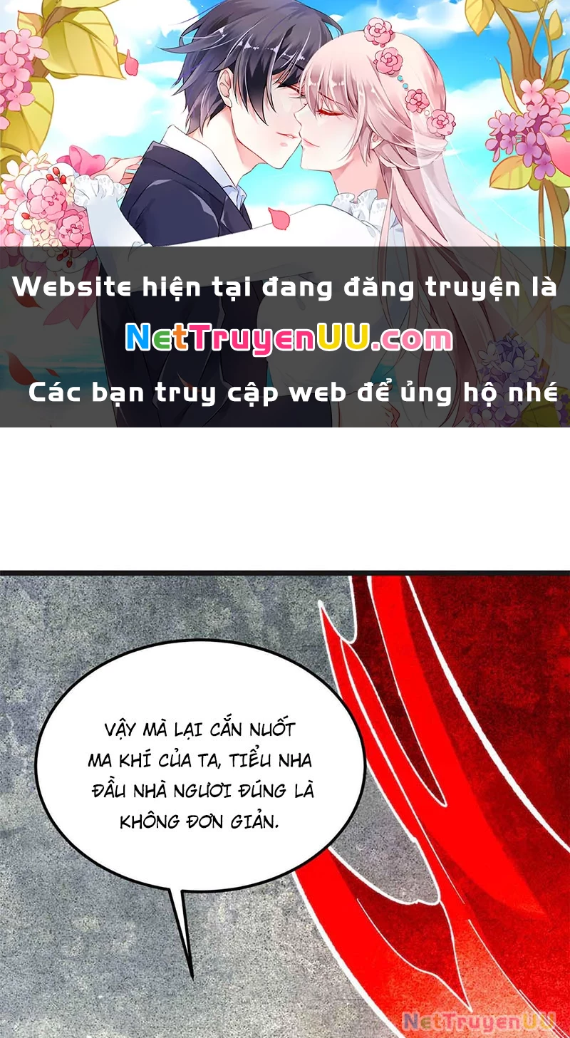 Vạn Cổ Tối Cường Tông Chapter 356 - Trang 4