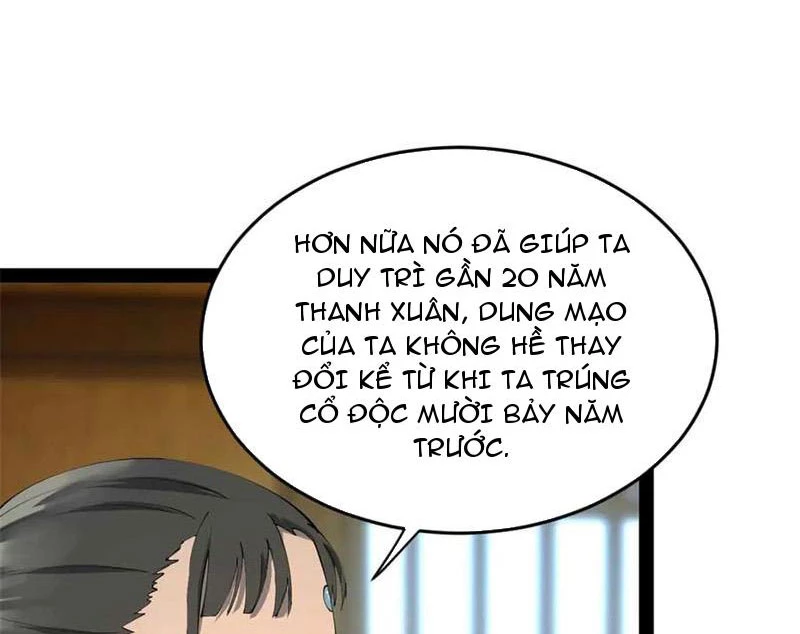 Chàng Rể Mạnh Nhất Lịch Sử Chapter 226 - Trang 4