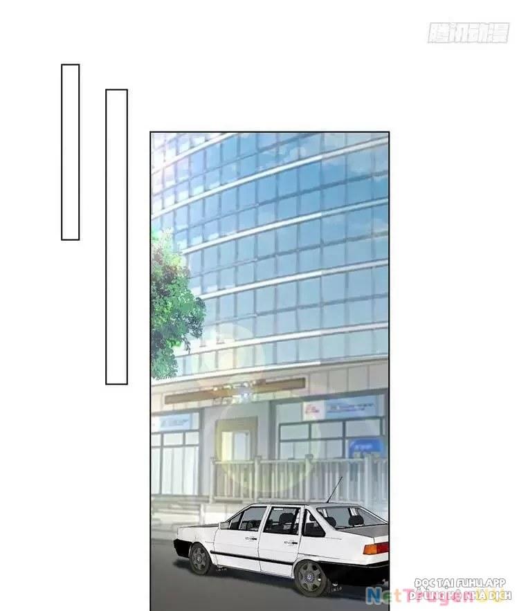 Ta Không Muốn Trùng Sinh Đâu Chapter 70 - Trang 4