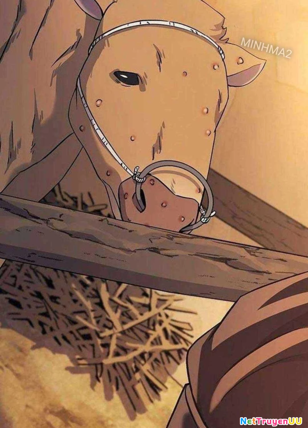 Bác Sĩ Tới Joseon Chapter 13 - Trang 3