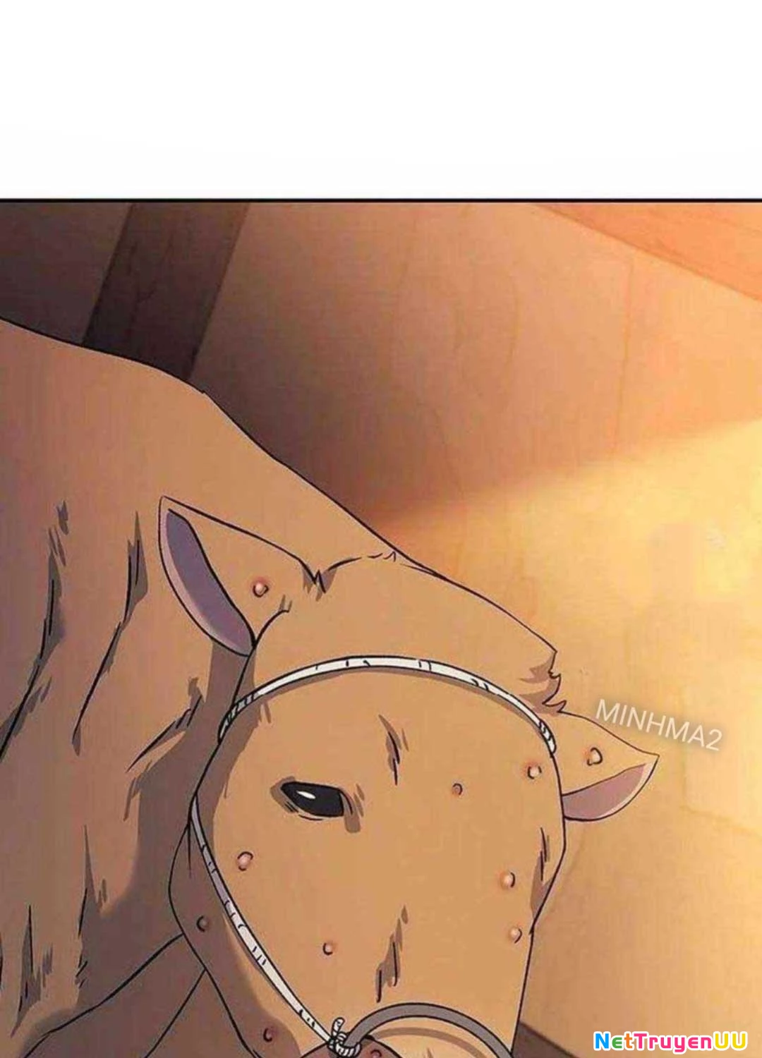 Bác Sĩ Tới Joseon Chapter 13 - Trang 3