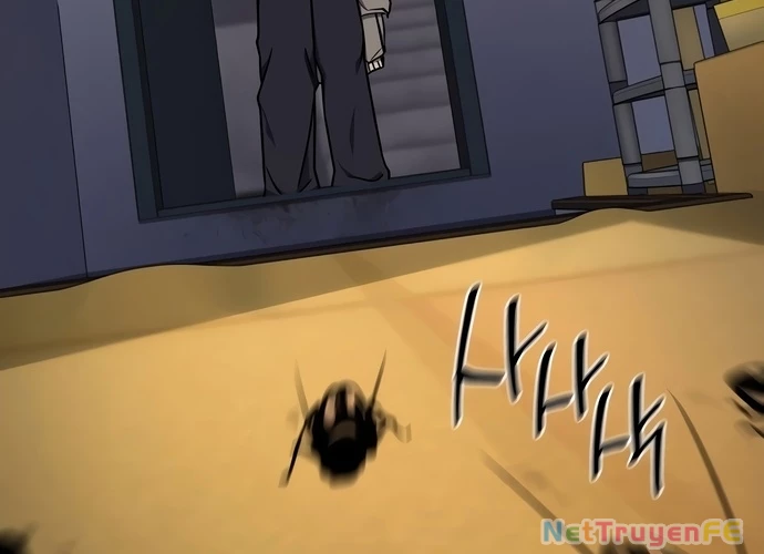 Sau Khi Ly Hôn Ta Trúng Jackpot Chapter 2 - Trang 3