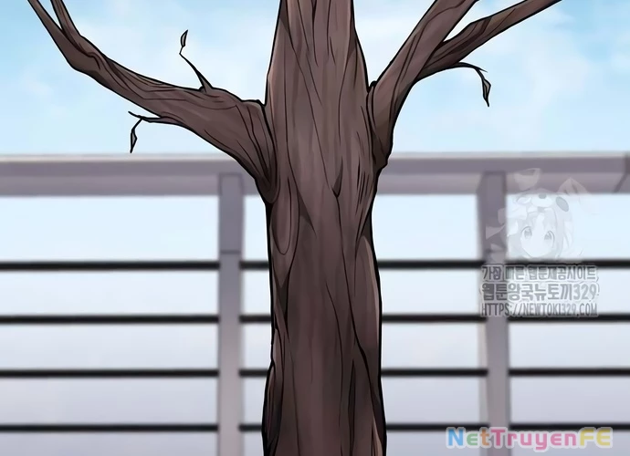 Sau Khi Ly Hôn Ta Trúng Jackpot Chapter 4 - Trang 3