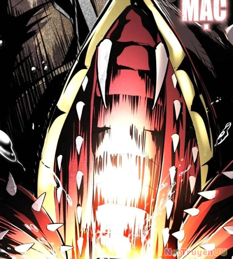 Cậu Bé Của Thần Chết Chapter 241 - Trang 4