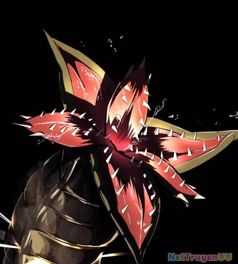 Cậu Bé Của Thần Chết Chapter 241 - Trang 4