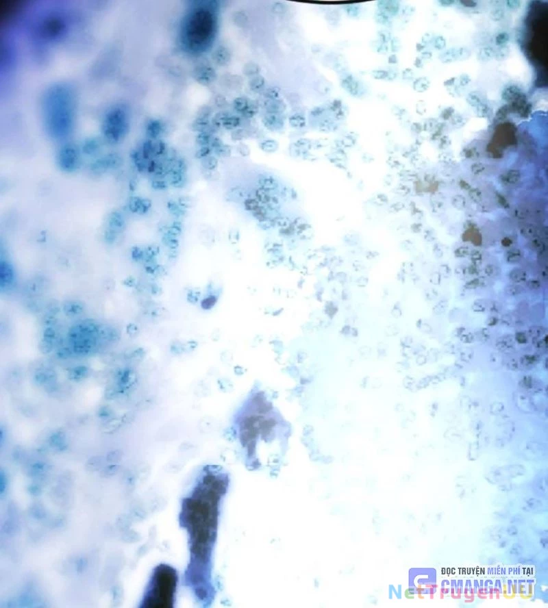 Đại Dịch Seoul Chapter 133 - Trang 4