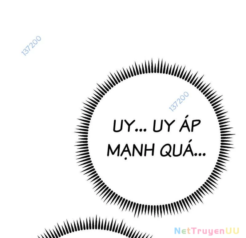 Thiên Phú Của Ngươi, Giờ Là Của Ta Chapter 90 - Trang 4