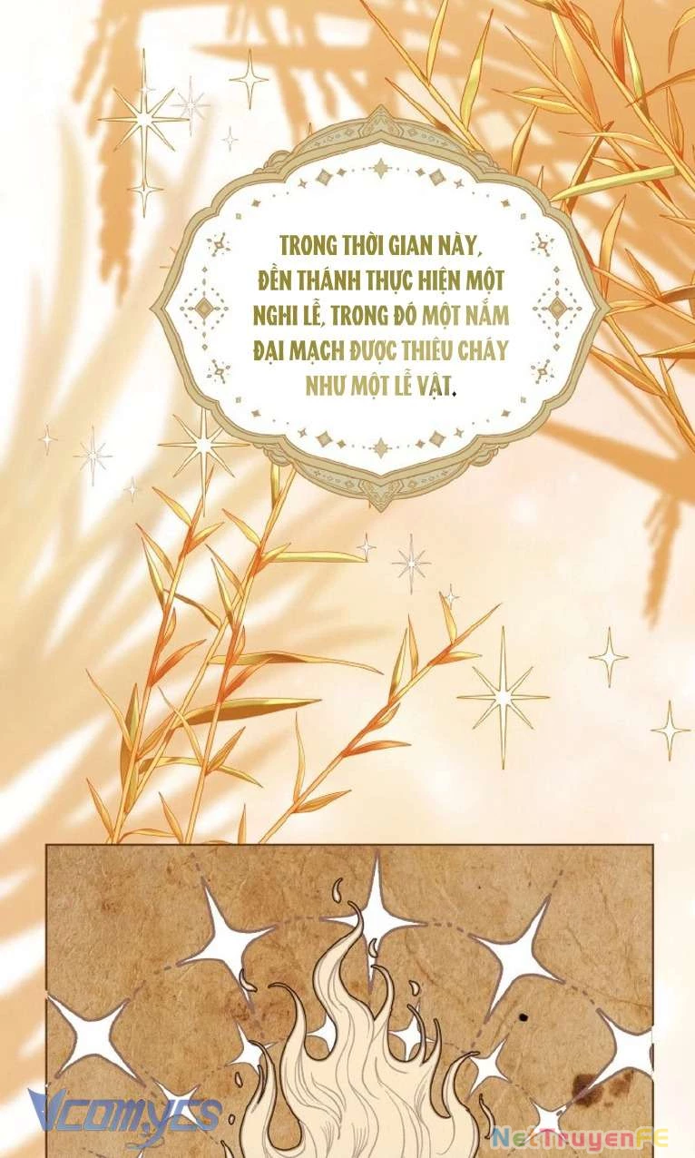 Sự Điều Trị Đặc Biệt Của Tinh Linh Chapter 84 - Trang 4