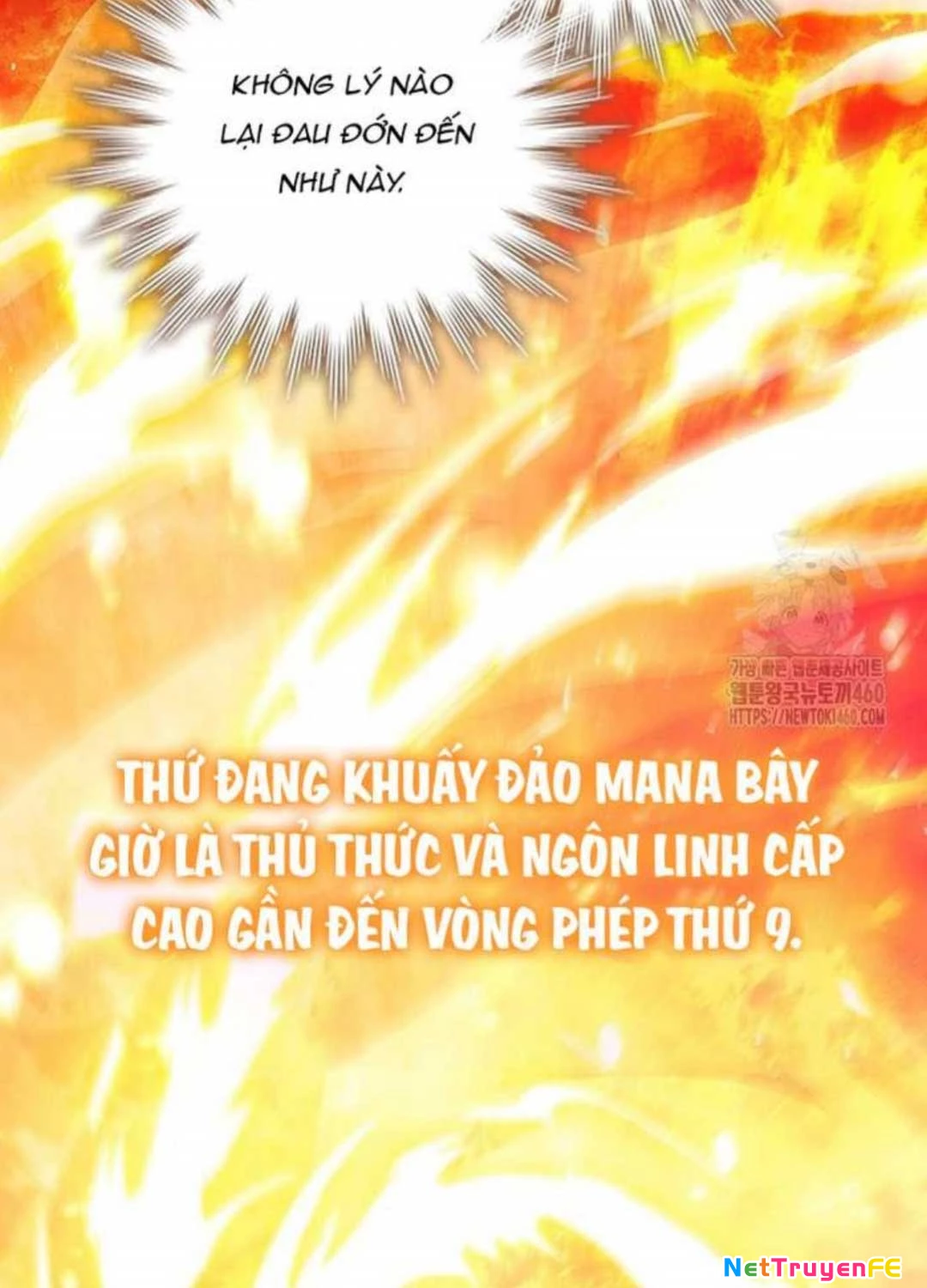 Thực Long Ma Pháp Sư Chapter 73 - Trang 2