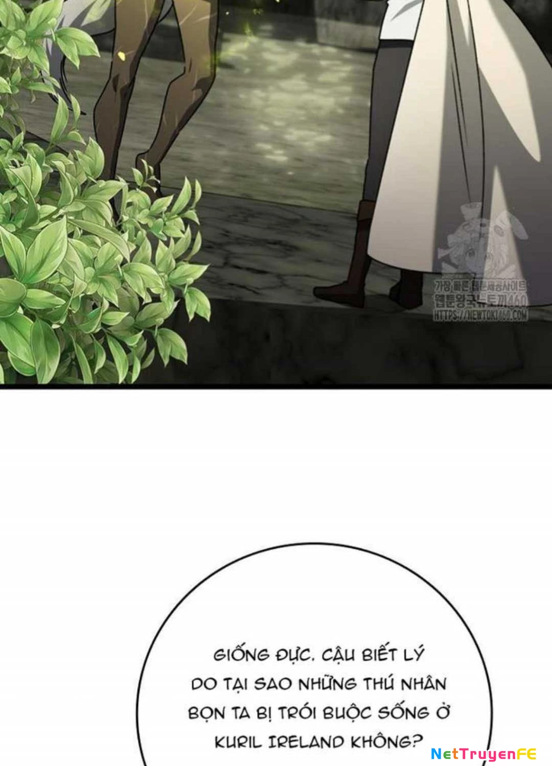 Thực Long Ma Pháp Sư Chapter 73 - Trang 2