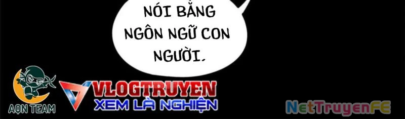 Tận Thế Trò Chơi Ghép Hình Chapter 84 - Trang 3